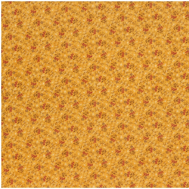 Wild Orchid by Blackbird Designs