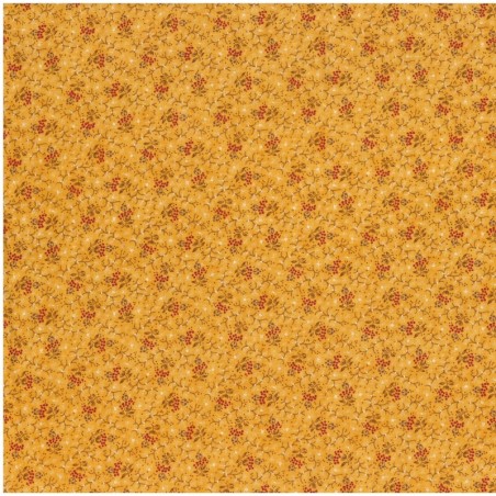 Wild Orchid by Blackbird Designs