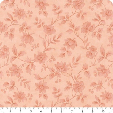 La foto riporta un righello in pollici