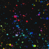 copy of Gradients Euphoria Rainbow
